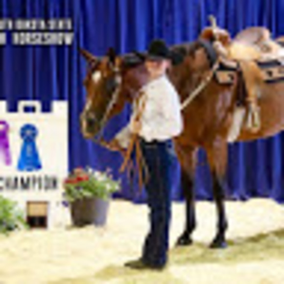 Meet your Posher, Cassidy - Picture 1 of 1